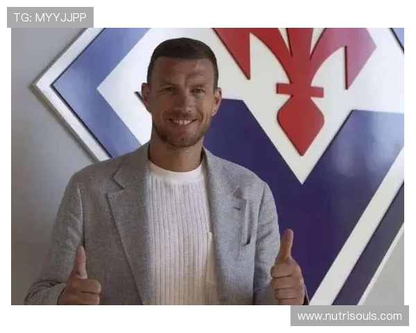 罗马诺确认沙尔克签39岁哲科