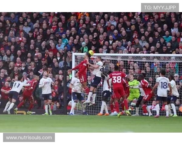 本季英超角球进球占比创历史纪录 本季英超角球进球占比创历史纪录